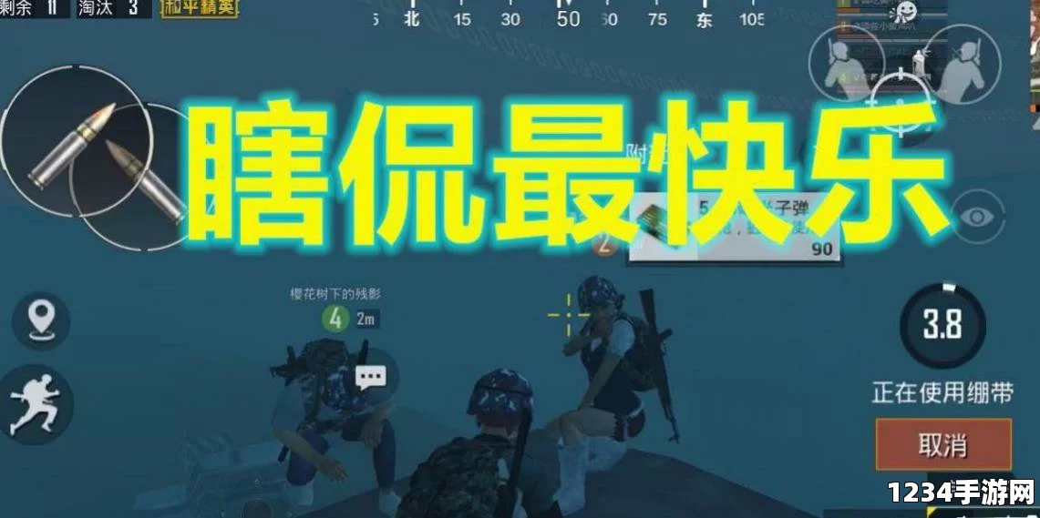 和平精英，游戏乐趣的迷失与前五机制的影响