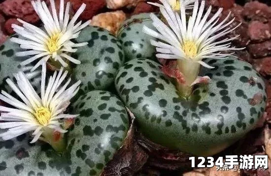 荒野行动超燃狙击视频教学，红点就是目标位置