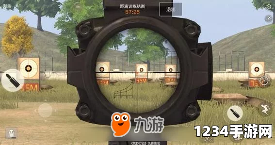 荒野行动，深度解析近战技巧与LYB战术的微妙界限