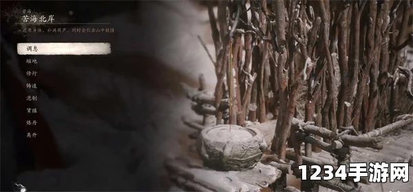黑神话龟泪获取攻略及游戏心得分享